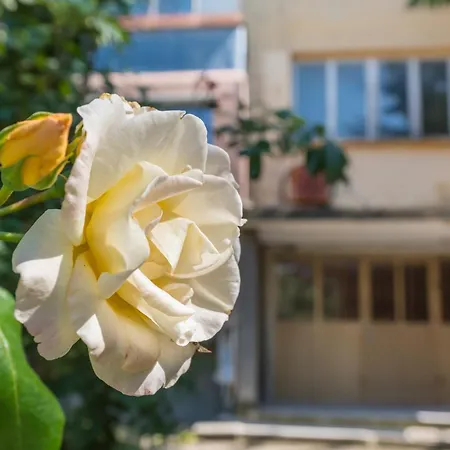 Apartment Private In Chayka Near The Sea Garden