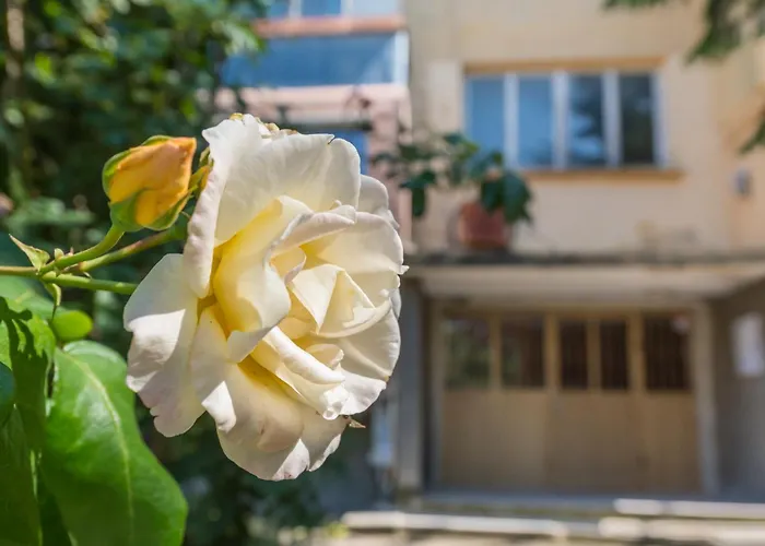 דירה Private In Chayka Near The Sea Garden